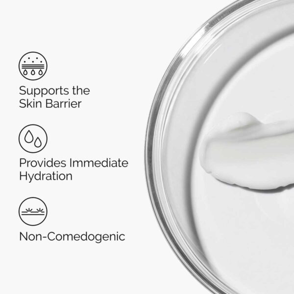 The Ordinary Natural Moisturizing Factors + HA 30ml - Image 4